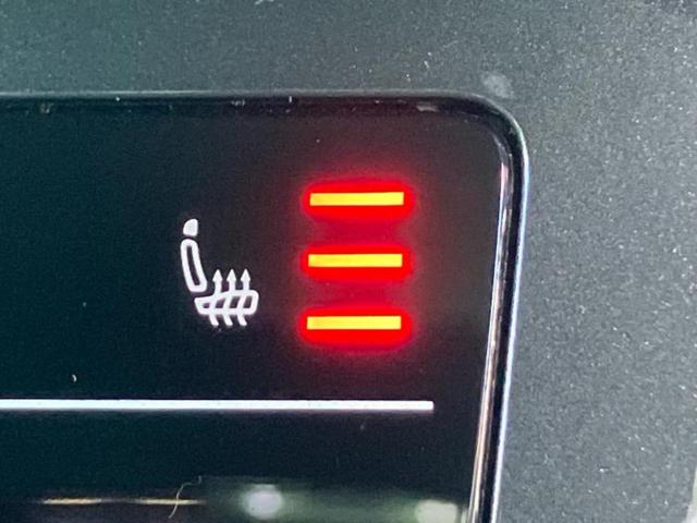 ティグアン TSI Rライン 保証書/純正 SDナビ/衝突安全装置/シートヒーター/全方位モニター/車線逸脱防止支援システム/シート フルレザー/パーキングアシスト 自動操舵/電動バックドア/ヘッドランプ LED/ETC 革シート(20枚目)