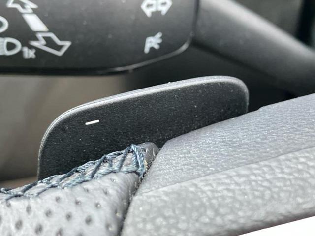 ティグアン TSI Rライン 保証書/純正 SDナビ/衝突安全装置/シートヒーター/全方位モニター/車線逸脱防止支援システム/シート フルレザー/パーキングアシスト 自動操舵/電動バックドア/ヘッドランプ LED/ETC 革シート(22枚目)