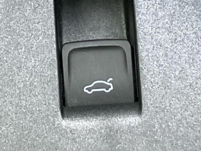 ティグアン TSI Rライン 保証書/純正 SDナビ/衝突安全装置/シートヒーター/全方位モニター/車線逸脱防止支援システム/シート フルレザー/パーキングアシスト 自動操舵/電動バックドア/ヘッドランプ LED/ETC 革シート(24枚目)