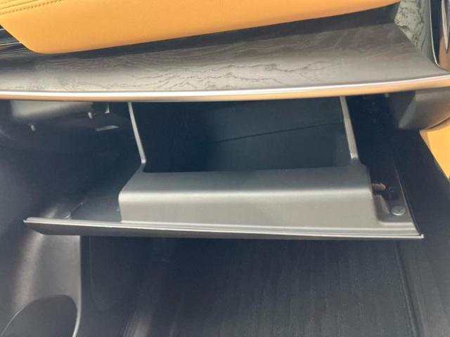 エクストレイル ４ＷＤ　Ｇ　ｅ－４ＯＲＣＥ　保証書／純正　１２．３インチ　メモリーナビ／インテリジェントルームミラー／エマージェンシーブレーキ／シートヒーター　前席／アラウンドビューモニター／車線逸脱防止支援システム／シート　合皮　全周囲カメラ（35枚目）