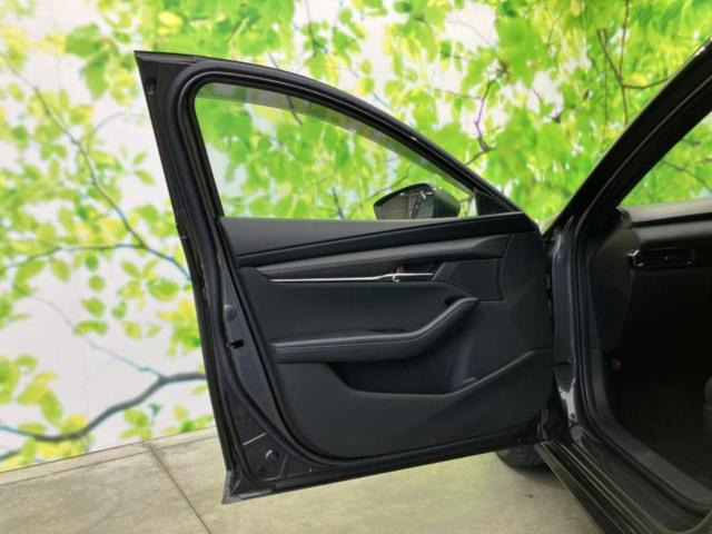 �u���̎Ԃ̎ʐ^�������ƌ������v�u��Ԃ��C�ɂȂ�v�u���̑����͂��Ă���H�v�ǂ�ȏ����ȋ^��ł����C�y�ɂ��₢���킹���������I