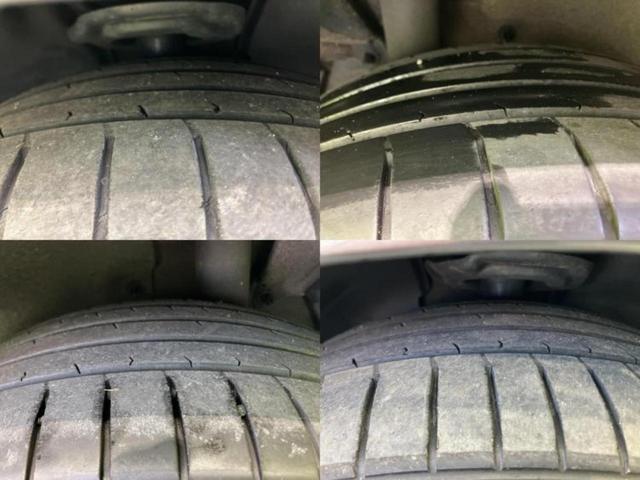 �u���̎Ԃ̎ʐ^�������ƌ������v�u��Ԃ��C�ɂȂ�v�u���̑����͂��Ă���H�v�ǂ�ȏ����ȋ^��ł����C�y�ɂ��₢���킹���������I