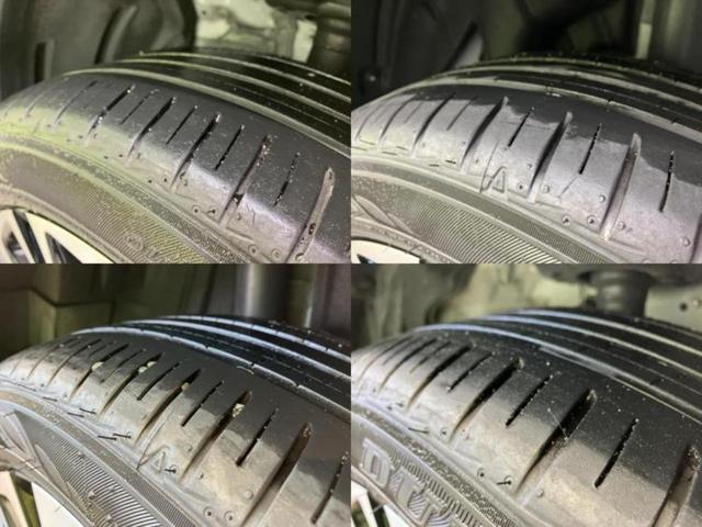 �u���̎Ԃ̎ʐ^�������ƌ������v�u��Ԃ��C�ɂȂ�v�u���̑����͂��Ă���H�v�ǂ�ȏ����ȋ^��ł����C�y�ɂ��₢���킹���������I