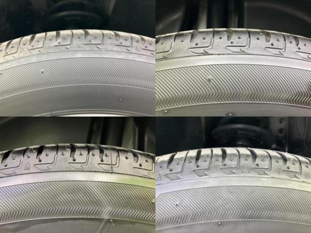 �u���̎Ԃ̎ʐ^�������ƌ������v�u��Ԃ��C�ɂȂ�v�u���̑����͂��Ă���H�v�ǂ�ȏ����ȋ^��ł����C�y�ɂ��₢���킹���������I