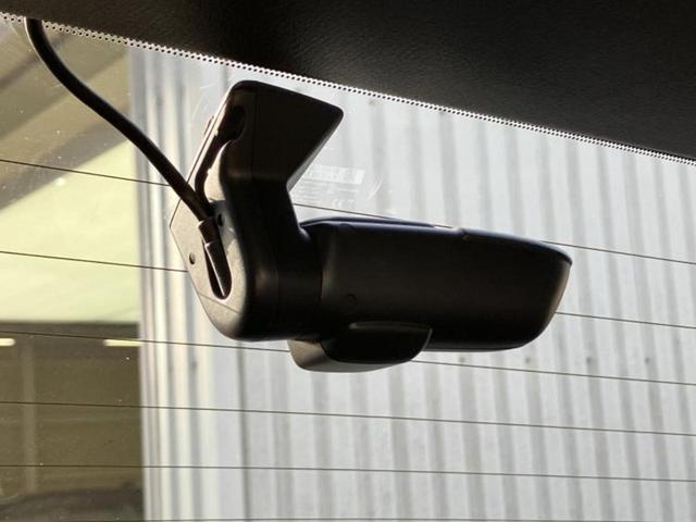 �u���̎Ԃ̎ʐ^�������ƌ������v�u��Ԃ��C�ɂȂ�v�u���̑����͂��Ă���H�v�ǂ�ȏ����ȋ^��ł����C�y�ɂ��₢���킹���������I