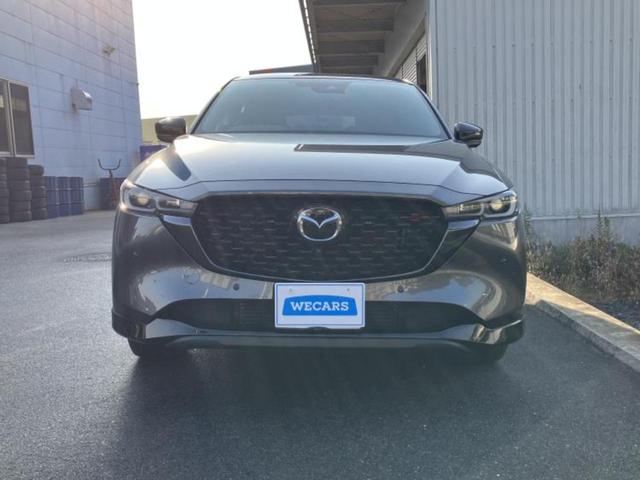 ������̂��Ԃ͂������ł��傤���H�����ł��C�ɂȂ��Ă��������܂����琥�񂨖₢���킹���������I����ɂ��Ԃ̏ڍׂ������肢�����܂��I