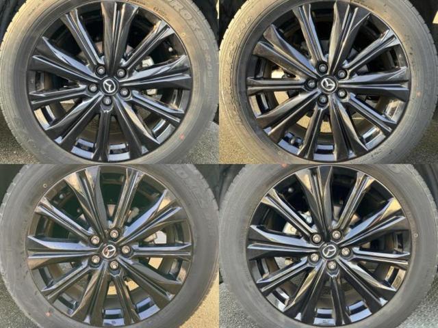 �u���̎Ԃ̎ʐ^�������ƌ������v�u��Ԃ��C�ɂȂ�v�u���̑����͂��Ă���H�v�ǂ�ȏ����ȋ^��ł����C�y�ɂ��₢���킹���������I