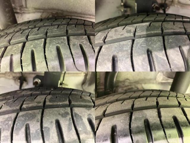 �u���̎Ԃ̎ʐ^�������ƌ������v�u��Ԃ��C�ɂȂ�v�u���̑����͂��Ă���H�v�ǂ�ȏ����ȋ^��ł����C�y�ɂ��₢���킹���������I