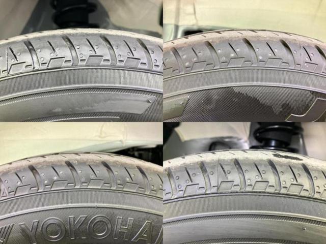 �u���̎Ԃ̎ʐ^�������ƌ������v�u��Ԃ��C�ɂȂ�v�u���̑����͂��Ă���H�v�ǂ�ȏ����ȋ^��ł����C�y�ɂ��₢���킹���������I