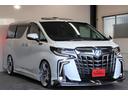 ２．５Ｓ　Ｃパッケージ　サンルーフ／新品ＢＲＡＳＨ２１ＡＷ／モデリスタエアロ／アルパイン後席モニター／両側パワスラ／社外車高調／デジタルインナーミラー／両側パワスラ／地デジ／Ｂｌｕｅｔｏｏｔｈ／バックカメラ／ＥＴＣ（54枚目）