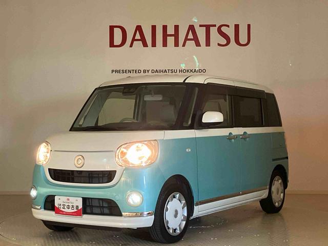 ムーヴキャンバス Ｘメイクアップリミテッド　ＳＡＩＩＩ（38枚目）