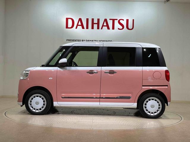 ムーヴキャンバス ストライプスG(12枚目)
