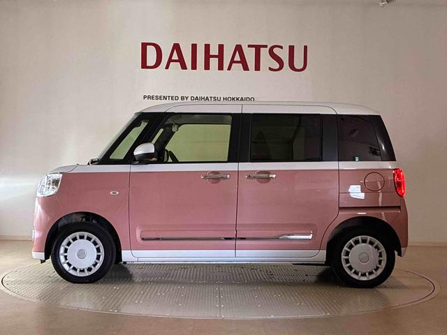 ムーヴキャンバス ストライプスG(39枚目)