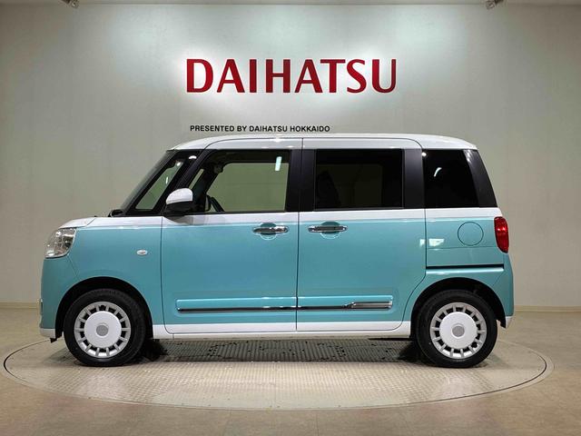 ムーヴキャンバス ストライプスG(12枚目)