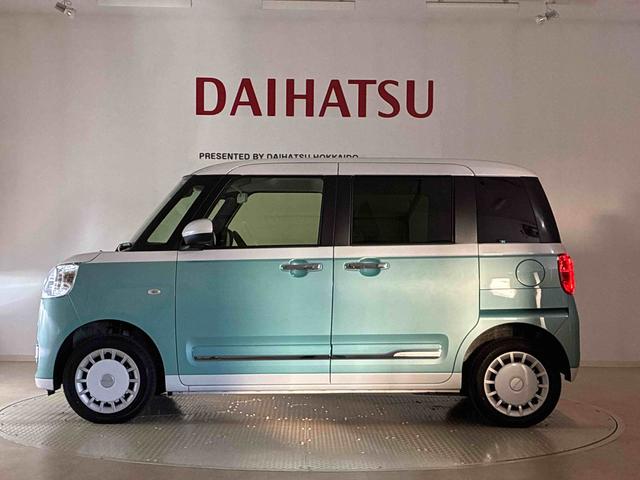 ムーヴキャンバス ストライプスG(39枚目)
