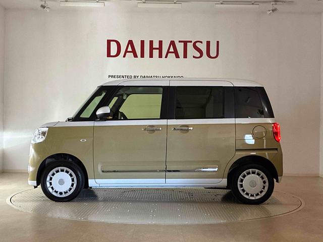 ムーヴキャンバス ストライプスG(39枚目)