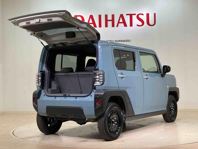 タフト X(15枚目)