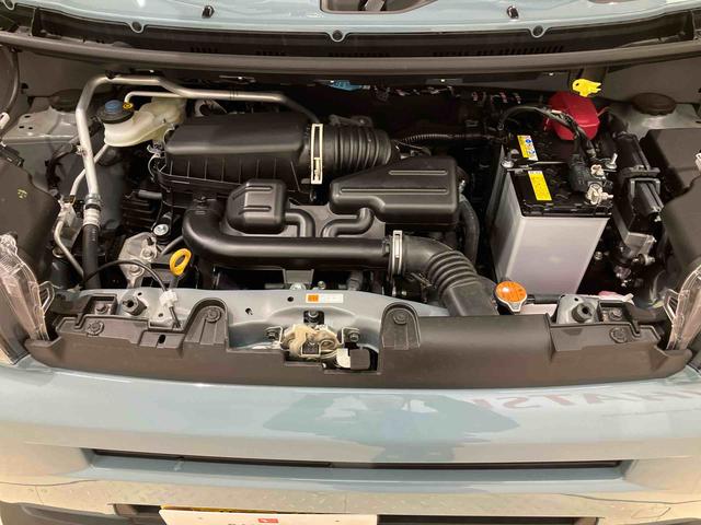 タフト X(18枚目)