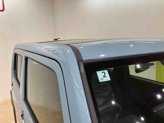 タフト X(23枚目)