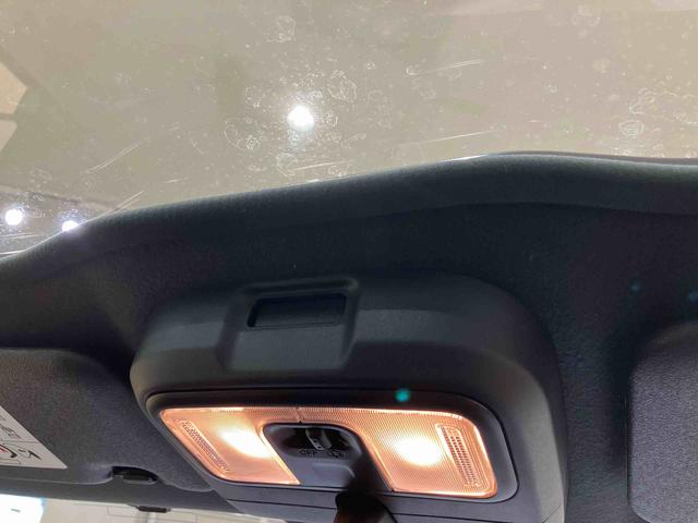 タフト X(28枚目)