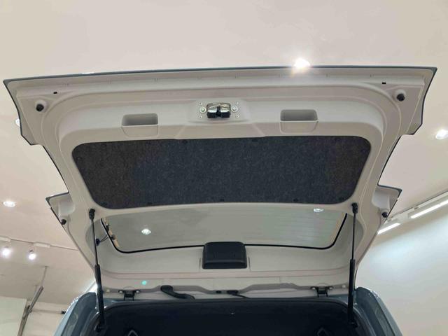 タフト X(31枚目)