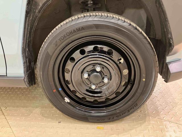 タフト X(37枚目)