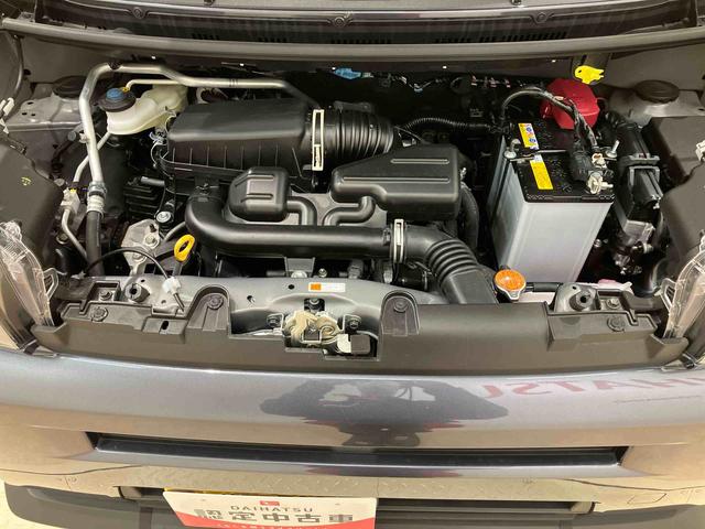 タフト Ｘ（18枚目）