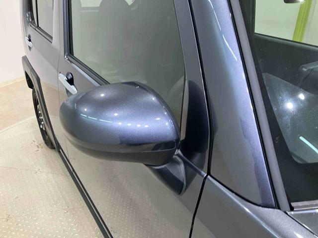 タフト Ｘ（22枚目）