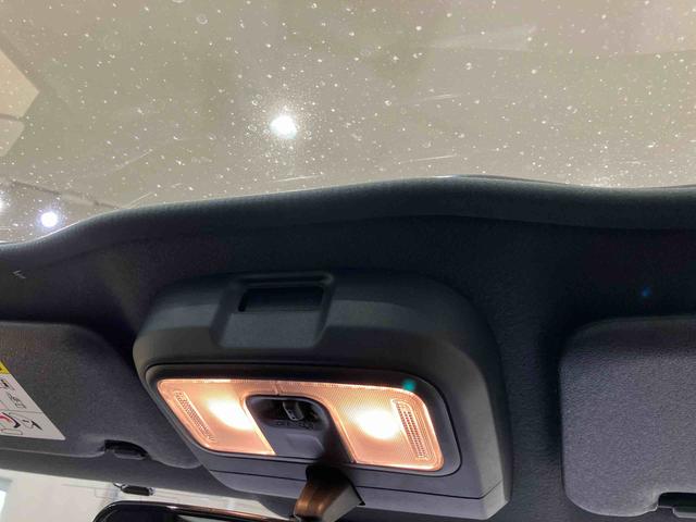 タフト Ｘ（28枚目）