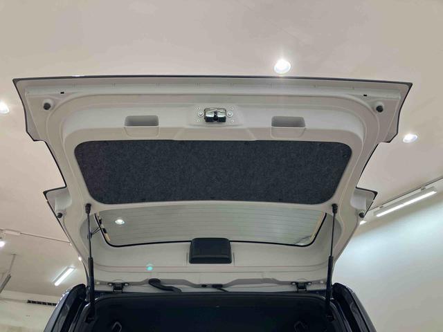 タフト Ｘ（31枚目）