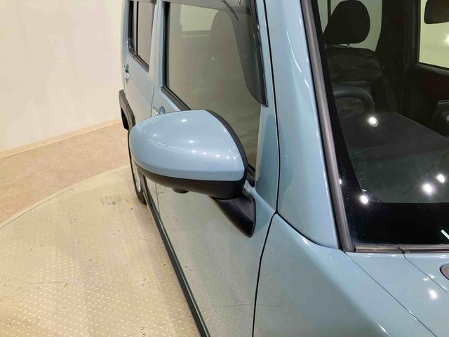 タフト Gターボ クロムベンチャー(22枚目)