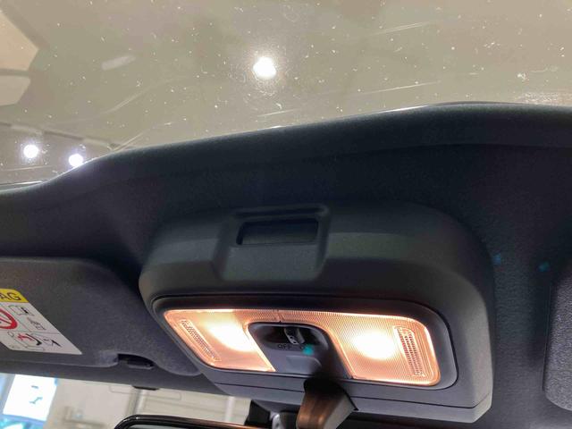 タフト Gターボ クロムベンチャー(28枚目)