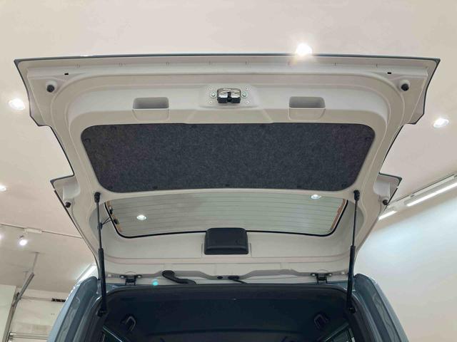 タフト Gターボ クロムベンチャー(31枚目)