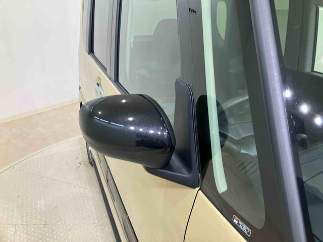 タント ファンクロス(22枚目)