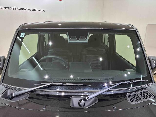 タフト G(2枚目)