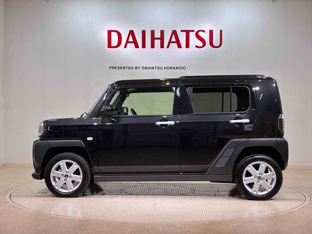 タフト G(12枚目)