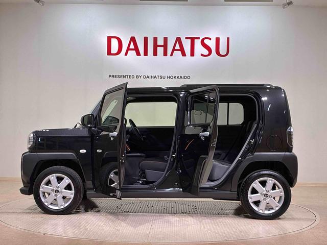 タフト G(13枚目)