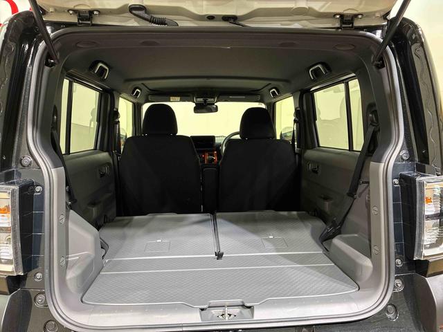 タフト G(16枚目)