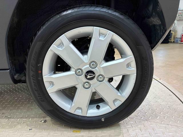 タフト G(37枚目)