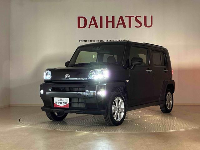 タフト G(40枚目)