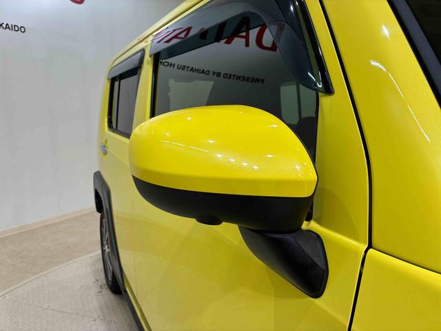 タフト Gターボ(22枚目)