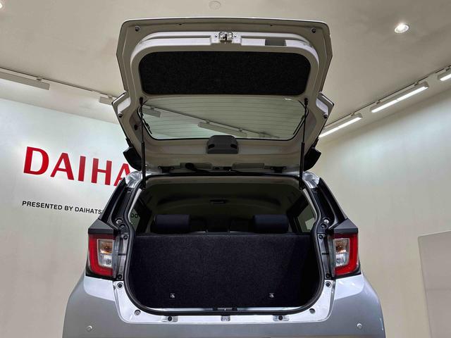 ミライース X リミテッドSAIII(31枚目)