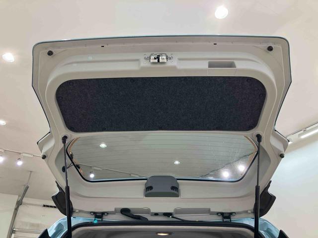 ミライース X リミテッドSAIII(31枚目)