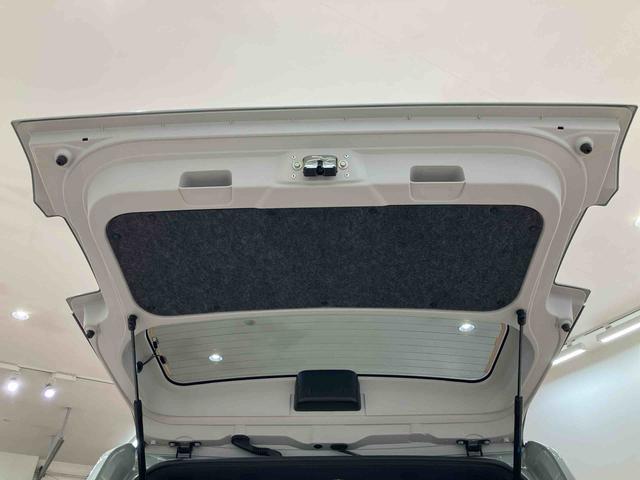 タフト G ダーククロムベンチャー(31枚目)