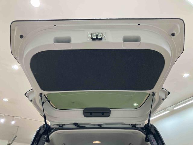 タント X(31枚目)