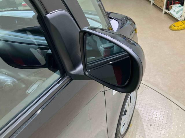 タント X(34枚目)