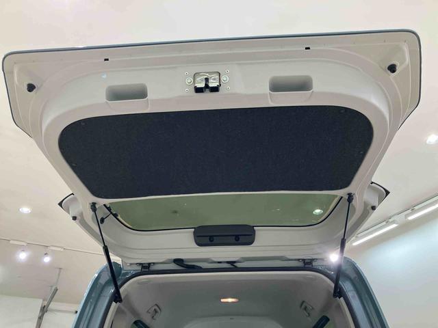 タント ファンクロス（31枚目）