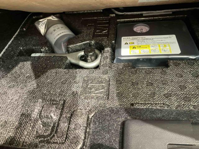 タント ファンクロス（17枚目）