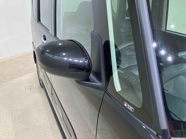 タント ファンクロス（22枚目）