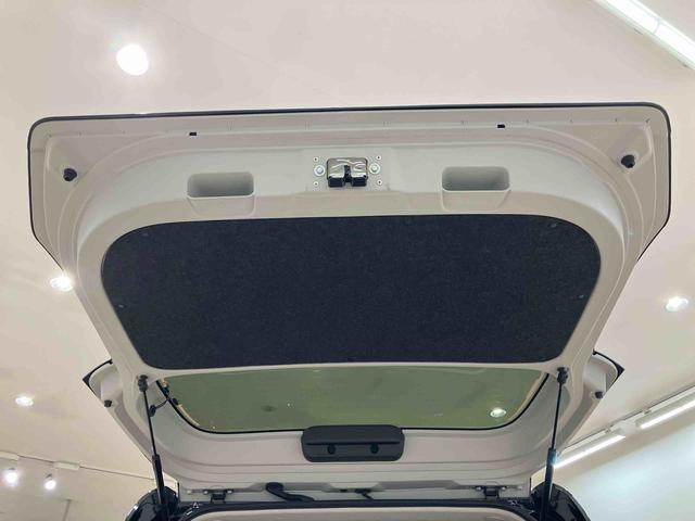 タント ファンクロス（31枚目）